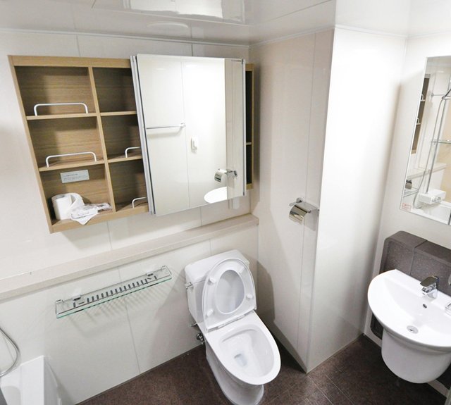 How To Unblock a Toilet